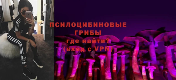 СК Аркадак