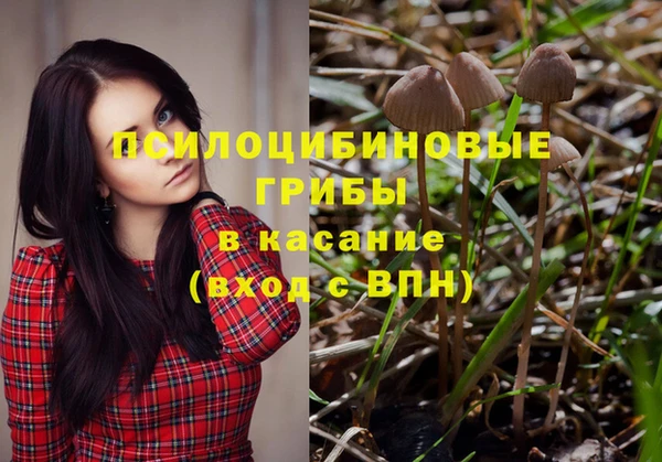 каннабис Алзамай