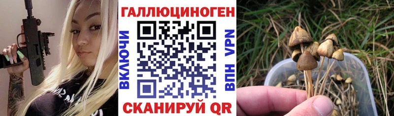Псилоцибиновые грибы мицелий  дарк нет состав  Саров  что такое  